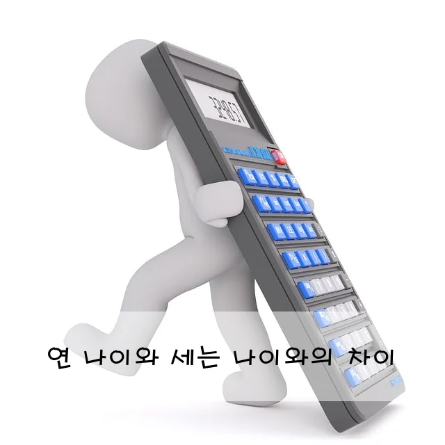 연 나이와 세는 나이와의 차이