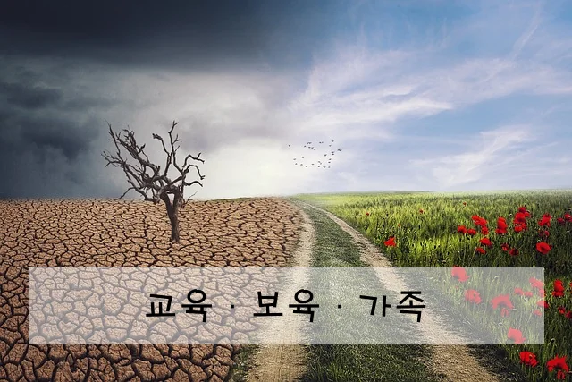 교육·보육·가족