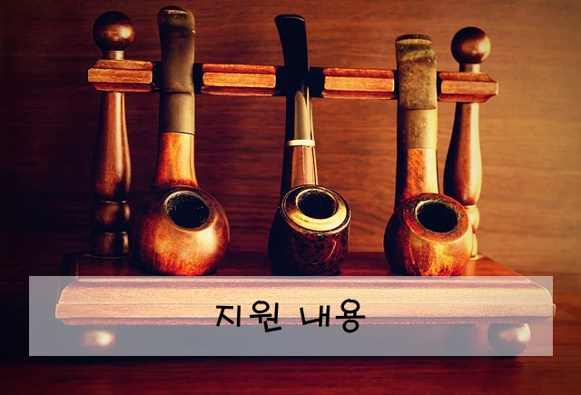 지원 내용