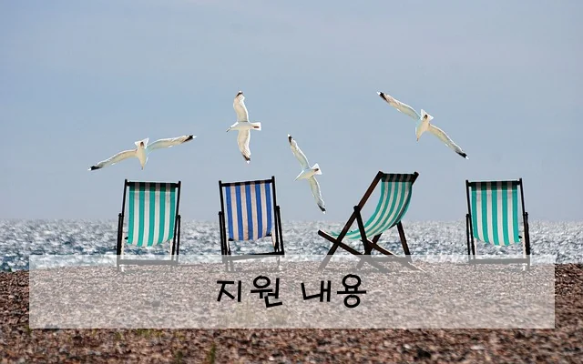 지원 내용