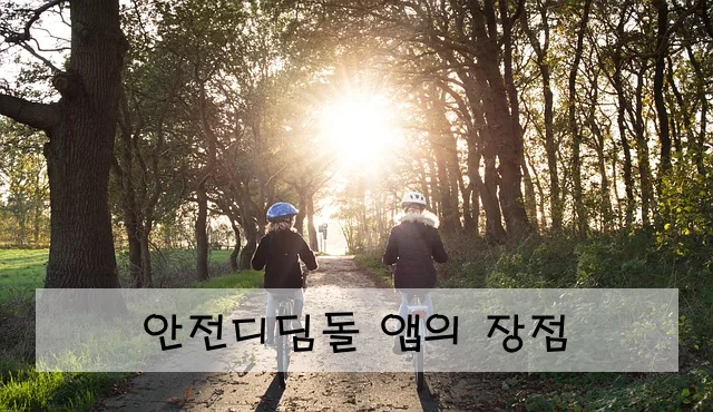 안전디딤돌 앱의 장점