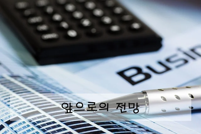 앞으로의 전망