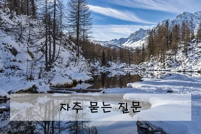 자주 묻는 질문