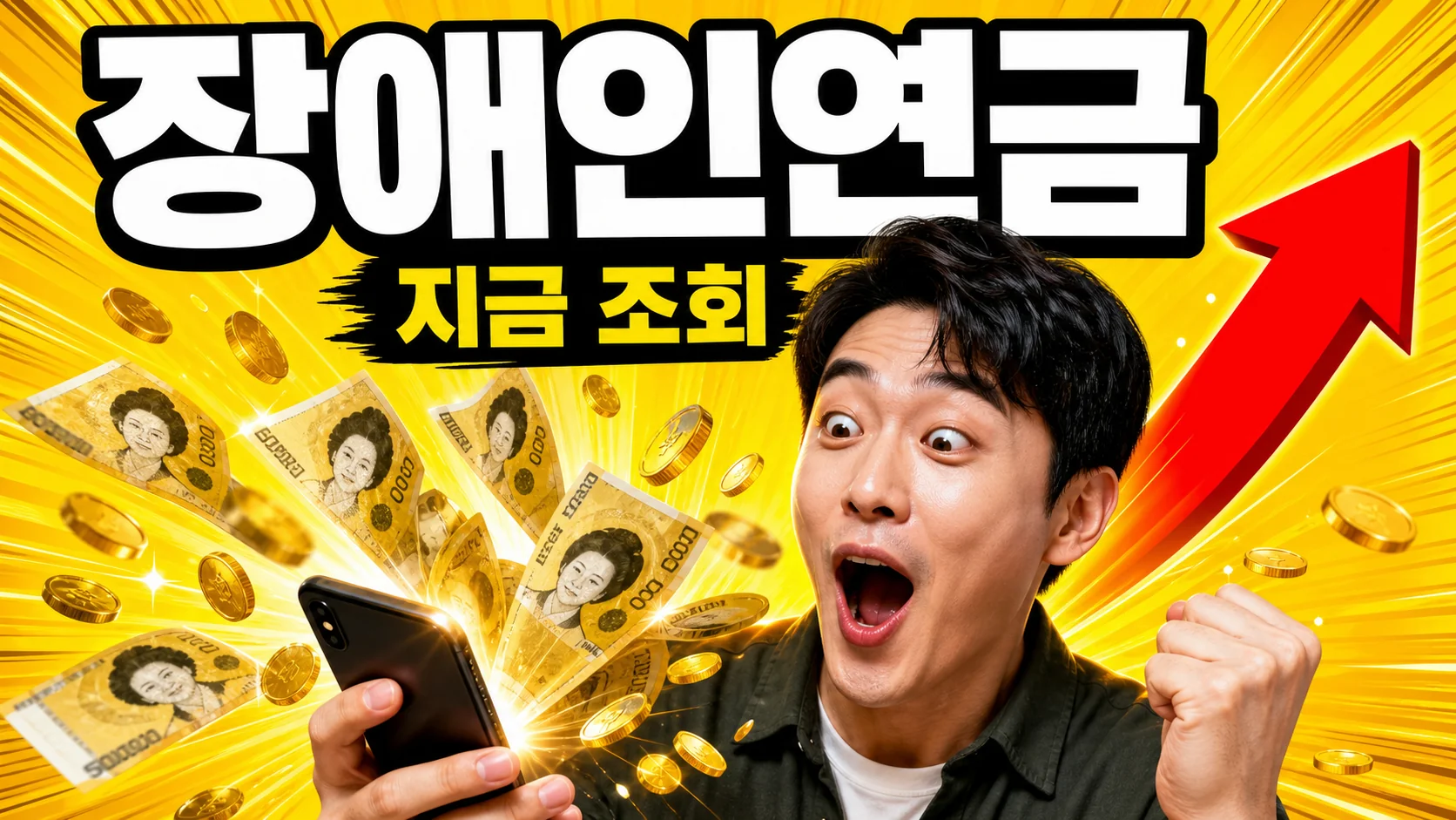 장애인연금 안내 - 휠체어를 이용하는 사람